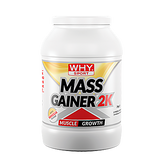 WHYSPORT - MASS GAINER 2K